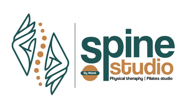 Spine Studio
